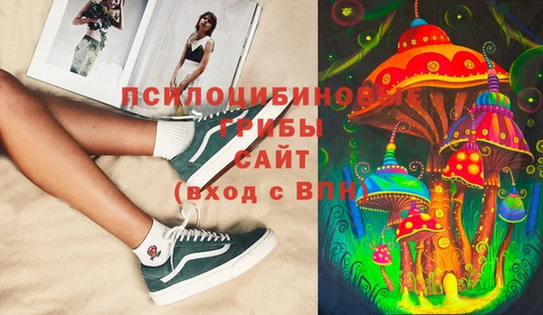 прущие крисы Гусев