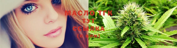 прущие крисы Гусев