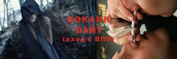 прущие крисы Гусев