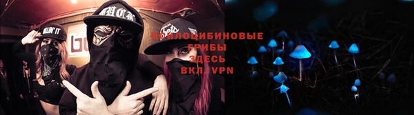 прущие крисы Гусев