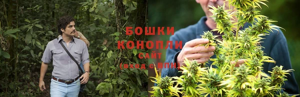 прущие крисы Гусев